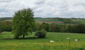 Tocht Mountainbike Yvoir - DORINNE ... la vallée du Bocq. - Photo 1