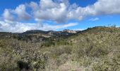 Trail Walking Cheval-Blanc - PF-Cheval-Blanc - Autour de Saint Phalez - Photo 3