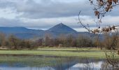 Randonnée Marche Sélestat - Sélestat : balade dans le Ried - Photo 1