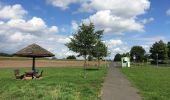 Tour Zu Fuß Gudensberg - Gudensberger Panoramaweg Ostrunde - Photo 8