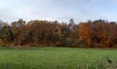 Tocht Elektrische fiets Saint-Clément - sortie vtt 27112022 magnieres  - Photo 2