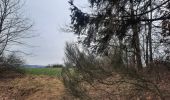Trail Walking Saint-Hubert - adeps St Hubert  - Photo 1