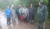 Randonnée Marche Fontainebleau - la Solle 26 juillet 2023  - Photo 2