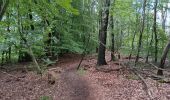 Percorso Marcia Spa - aérodrome. bois des vieilles fagnes . malchamps . retour le long de la fagne  - Photo 7
