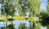 Tocht Stappen Landen - La vallée du ruisseau Mombeek : la réserve naturelle De Beemden à Attenhoven - Photo 3