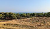 Trail Walking Leucate - mon sentier des pêcheurs via chateau - Photo 3