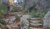 Trail Walking Calvi - Citadelle Calvi - Village - Notre dame de la Serra - Photo 16
