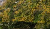 Percorso Marcia Blegny - A travers les champs de Blegny et ses environs  - Photo 10