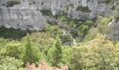 Tour Wandern Joucas - PF-Joucas - Les Gorges et Moulins de la Véroncle - 1 - Photo 18