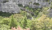 Percorso Marcia Joucas - PF-Joucas - Les Gorges et Moulins de la Véroncle - 1 - Photo 18