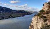 Trail Walking Donzère - Donzère -falaises-Navon-ruines 15km - Photo 2