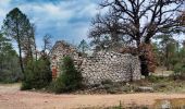 Tour Wandern Mazaugues - NSB5-MazauguesPivautI-220424 - Photo 5