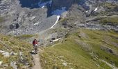 Trail Walking Samoëns - SAMOENS: LES ALLAMANDS - BOSTAN (CHALETS - REFUGE - COL  - TETE) - GOLESE - Photo 7