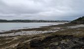 Tour Wandern Paimpol - Paimpol - GR34 Port Lazo - 25.5km 400m 6h15 (45mn) - 2024 06 30 - Photo 3