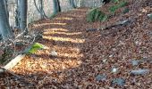 Tocht Stappen La Bastide - coll de palomere - Photo 11