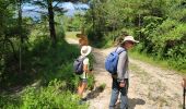 Excursión Senderismo Courmes - Courmes. Saint Barnabé et le champ des Idoles - Photo 1