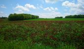 Tour Wandern Le Boulay - le Boulay - circuits Le pain sec et le Boulay avec variante le Sentier - 21.4km 180m 5h15 - 2022 05 05 - Photo 5