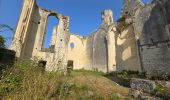 Randonnée Marche Avon-les-Roches - Avon-les-Roches - Lavoirs et Collégiale des Roches Tranchelion - Photo 13