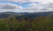 Tour Wandern Börsch - heidenkopf - Photo 9