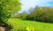 Tocht Stappen Esneux - entre Mery et bois Manant - Photo 6