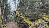 Excursión Senderismo Pélussin - Randonnée du tacot à Pelussin  - Photo 11