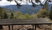 Tour Wandern Sewen - Ballon d'Alsace - Lac d'Alfed et sa cascade - Col du Bonhomme - Ballon d'Alsace - Photo 11