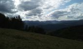 Trail Walking Soultz-Haut-Rhin - Col Amic Molkenrein - Photo 6