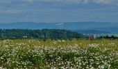 Tour Zu Fuß Wildberg - Deckenpfronn Grenzweg - Photo 2