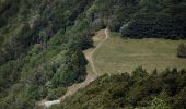 Excursión Senderismo Marignac-en-Diois - Marignac - But de l'Aiglette - Col de Vassieux - Photo 2