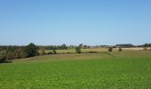 Tour Wandern Gulpen-Wittem - Reijmerstok - Banholt - Mheer - Terhorst - Terlinden - Photo 2