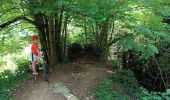 Percorso Mountainbike Margès - Balade au bord de l'Herbasse - Photo 1