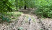 Tocht Paardrijden Habay - Forêt de Rulles - Photo 11