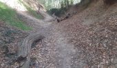 Tocht Stappen Riemst - autour de Kanne via montagne St Pierre et les vignes - Photo 8