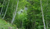 Trail Walking Entremont-le-Vieux - Refuge de l'Alpette - Photo 6