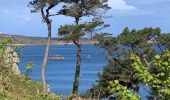 Tour Wandern Perros-Guirec - Perros guirrec 1 - Photo 20