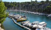 Trail Walking Cassis - XX-Cassis-Les Calanques-Miou-Pin-En Vau - Photo 12