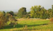 Tour Zu Fuß Unbekannt - Rundwanderweg Winzerla-Nennsdorf-Ammerbach-Winzerla - Photo 1