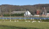 Trail Walking Oupeye - 20220303 - TOTEMUS Hermalle-sous-Argenteau 6.7 Km - Photo 2