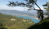 Trail Walking La Chapelle-du-Mont-du-Chat - DENT DU CHAT & MOLARD NOIR - Photo 1