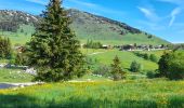 Tour Wandern Brizon - BARGY: SOLAISON - CENISE PAR LE MAUVAIS PAS - ROCHERS DE LESCHAUX - Photo 14