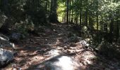 Trail Walking Évisa - Evisa forêt d’aitone  - Photo 6