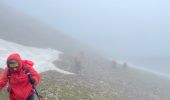 Randonnée Marche Saint-Dalmas-le-Selvage - Mercantour : Col des Fourches  - Photo 12