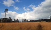 Randonnée Marche Spa - petit tour entre les fagnes Malchamps et James - Photo 6