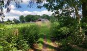 Trail Walking Ciney - Chevetogne 280622 - Photo 4