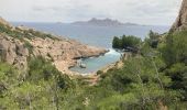 Tour Wandern Marseille - Marseillveyre  - Photo 1