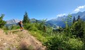 Tocht Stappen La Clusaz - ARAVIS: TETE DU DANAY via Mortenay et Pézerette - Photo 1