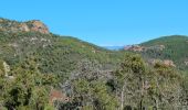 Randonnée Marche Fréjus - Mont Vinaigre depuis Colle Douce - Photo 4