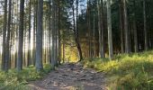 Trail Walking Malmedy - Ferme Libert - Photo 3