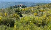 Tour Wandern Le Bar-sur-Loup - Callivore2 - Photo 10