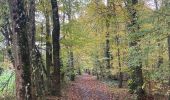 Excursión  Saint-Lambert - Balade Chevreuse  - Photo 11